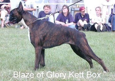 Blaze of Glory Kett Box
