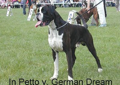 In Petto von German Dream