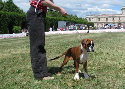 Nini di Boxerita