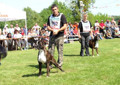 Apolo I de Villa Astur