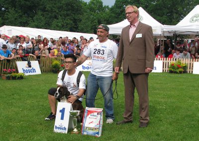 IBA – Young Female Brindle